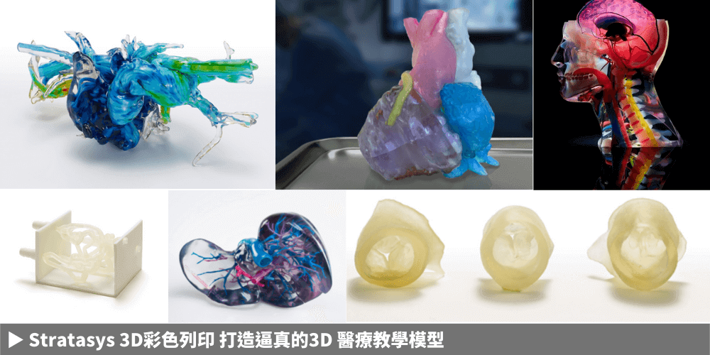 Stratasys PolyJet 彩色3D列印6大關鍵優勢 | 通業技研 全彩3D列印應用醫學解剖模型