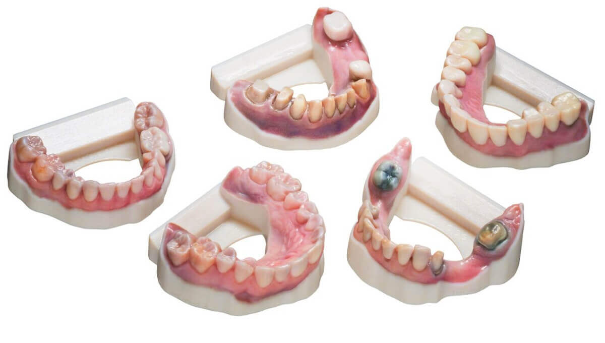 Vero Vivid Colors Vero Vivid Colors