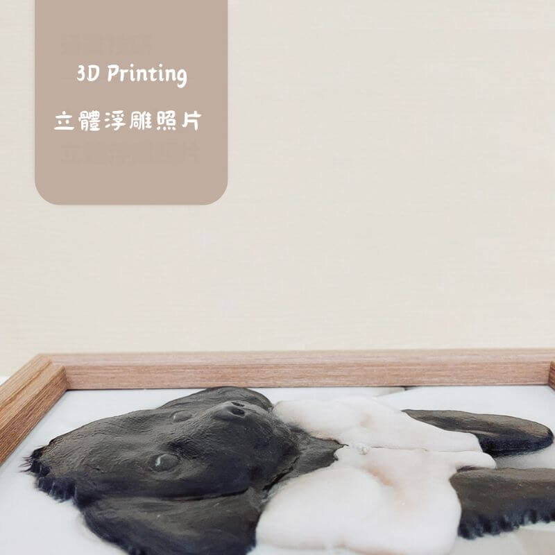 3D列印客製化 | 2.5D立體照片