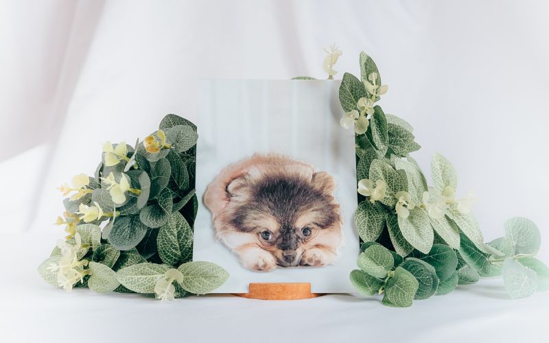 3D列印客製化 | 2.5D立體照片