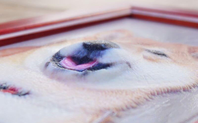 3D列印客製化 | 2.5D立體照片