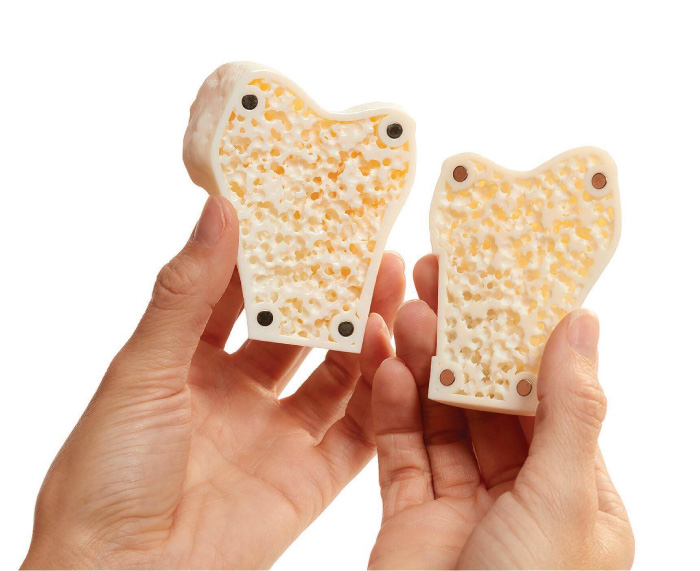 3D列印軟體GrabCAD Voxel Print可複製複雜的解剖結構製作松質骨模型