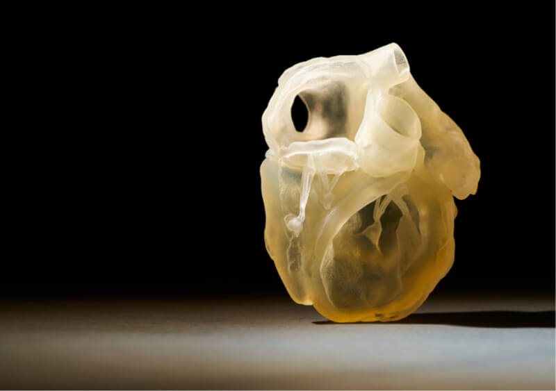 3D列印解剖學模型－功能模型用於外科醫生培訓和設備測試