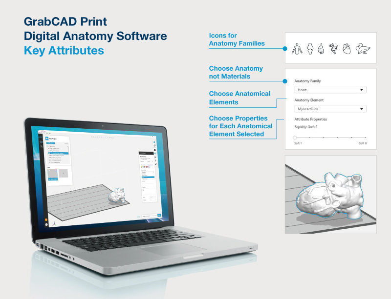 GradCAD Print Digital Anatomy 軟體－內置100多種解剖學模型預設