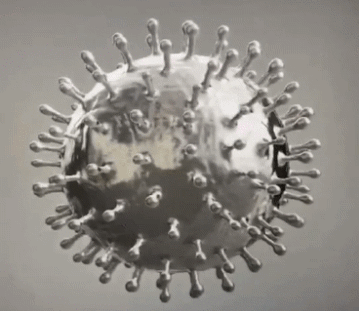 武漢肺炎病毒模型